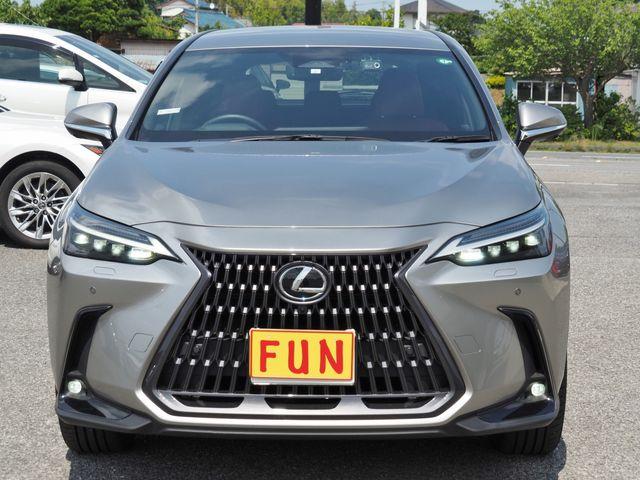 TOYOTA LEXUS NX450h+ AWD 2023