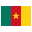 Cameroon flag