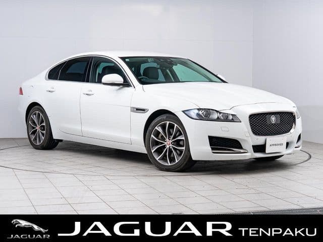 JAGUAR