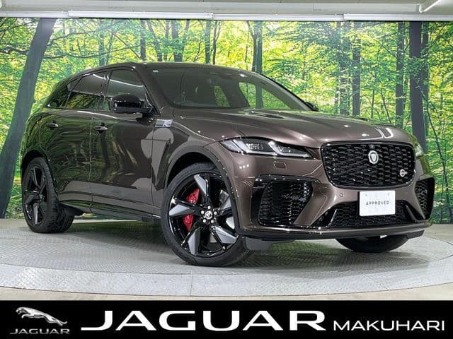 JAGUAR