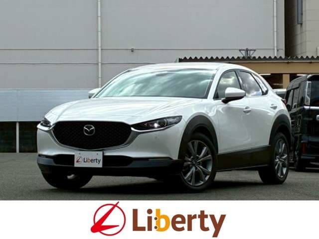 Car image 1