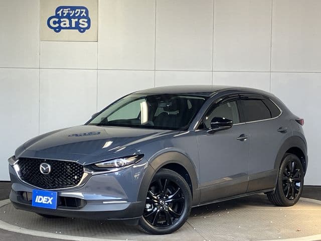Car image 1