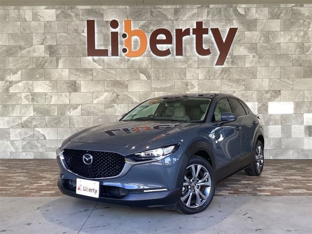 Car image 1