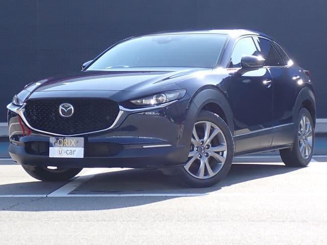 Car image 1