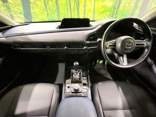 Car thumbnail 2