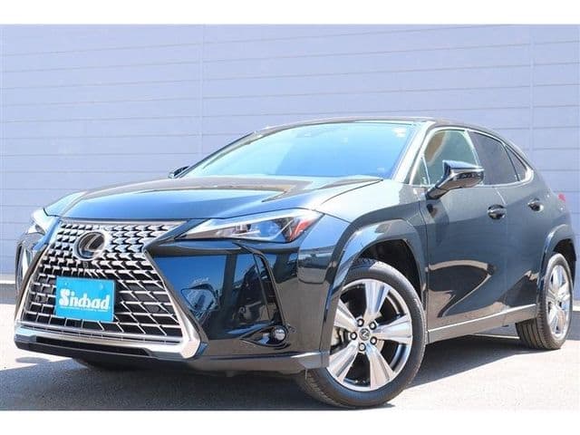 Car image 1
