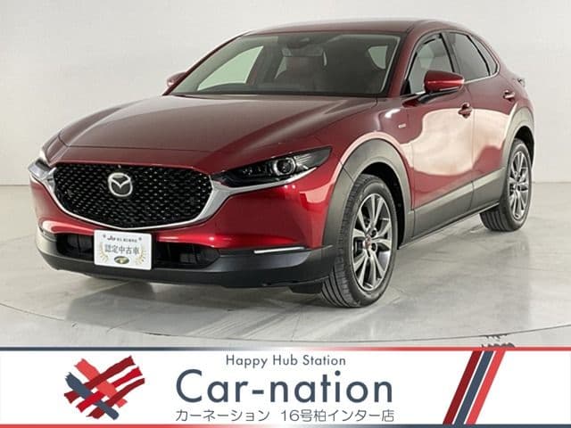 Car image 1