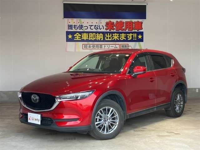 Car image 1
