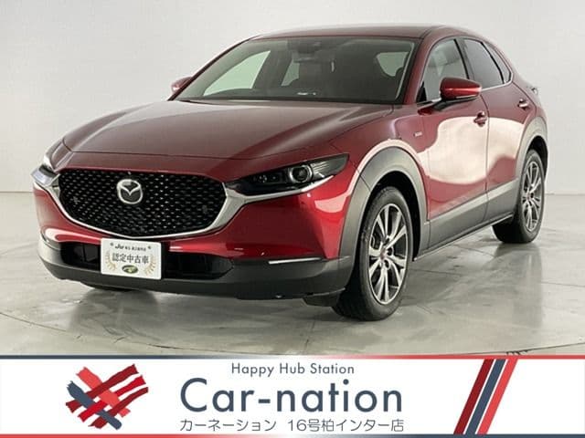Car image 1