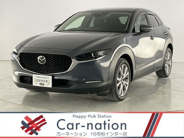 Car image 1
