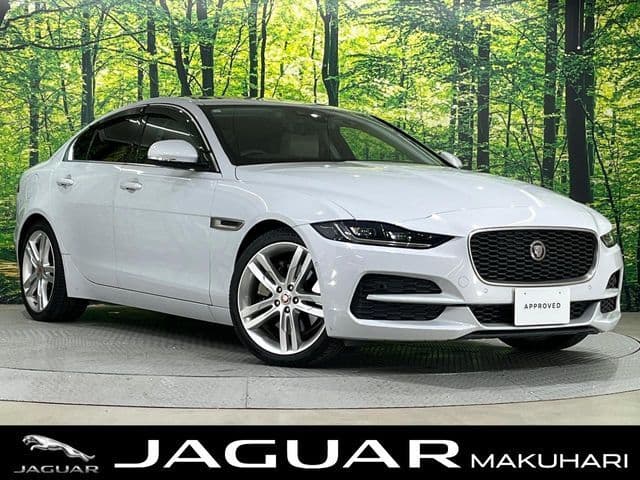JAGUAR