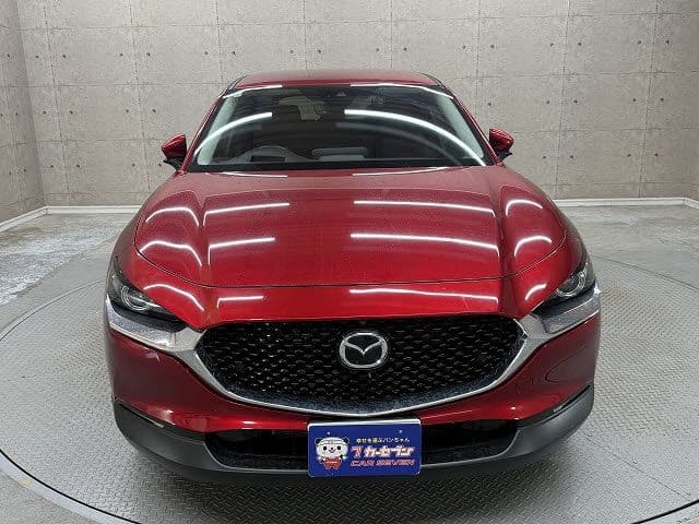 Car thumbnail 4