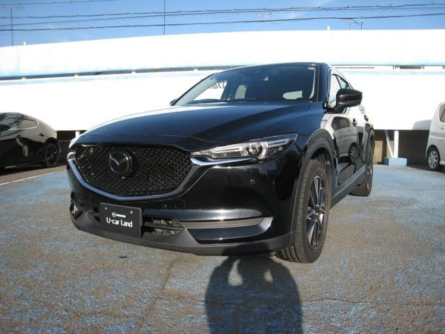 Car image 1