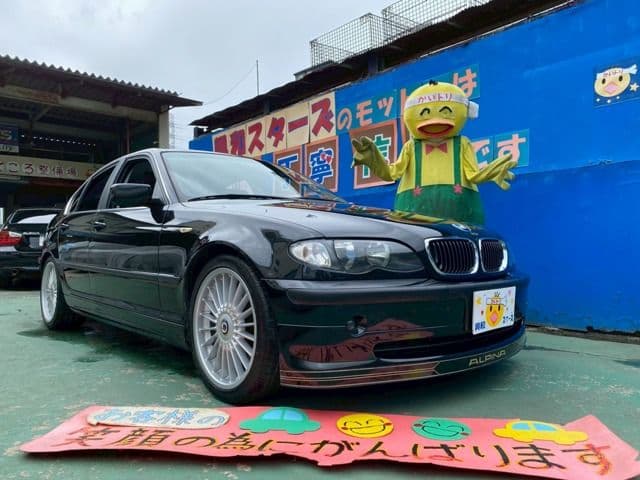 ALPINA