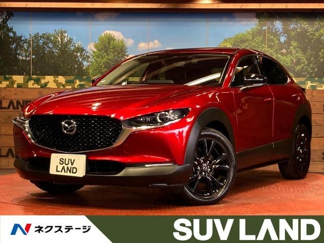 Car image 1