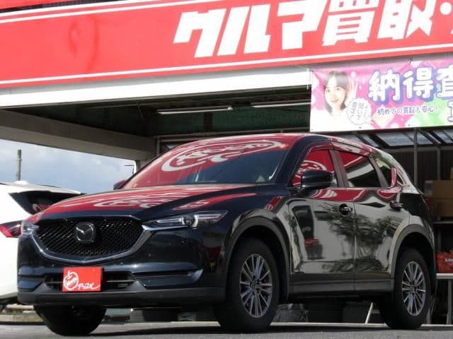 Car image 1