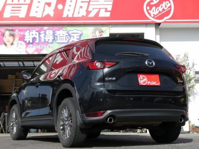 Car thumbnail 4