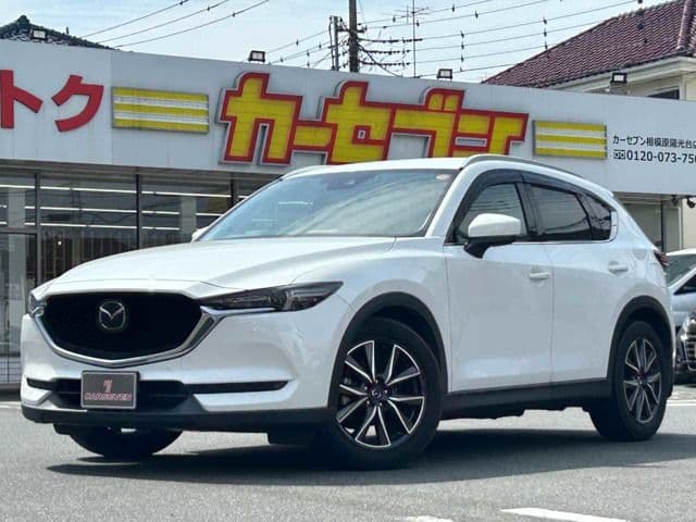 Car image 1