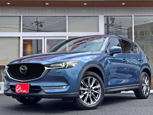 Car image 1