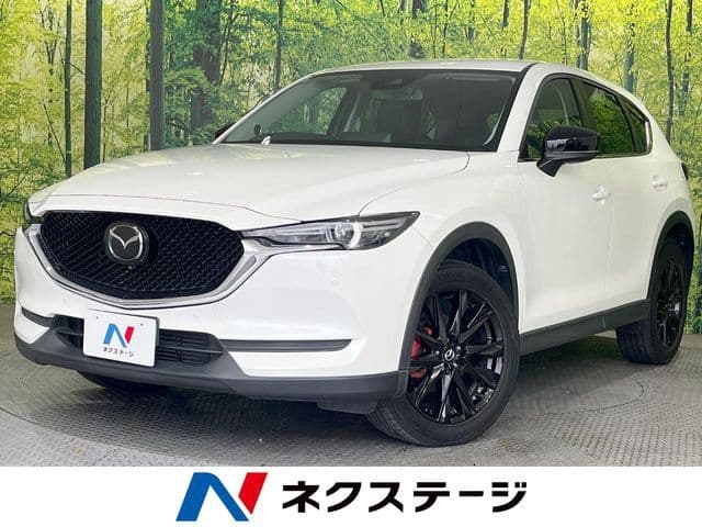 Car image 1