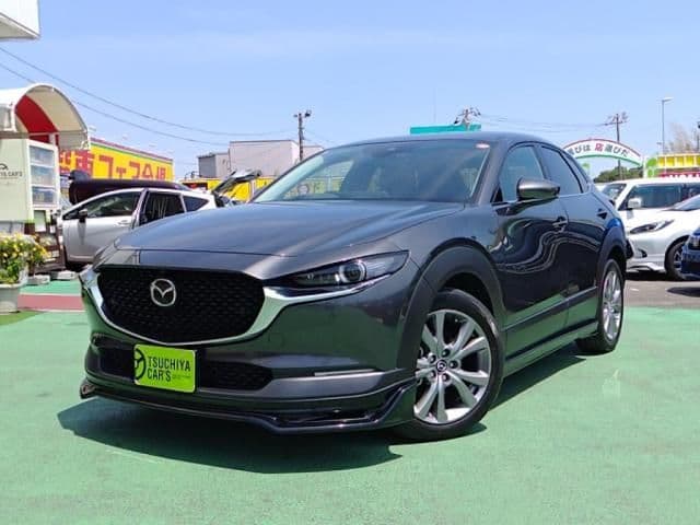 Car image 1