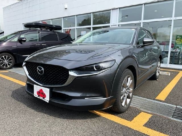 Car image 1