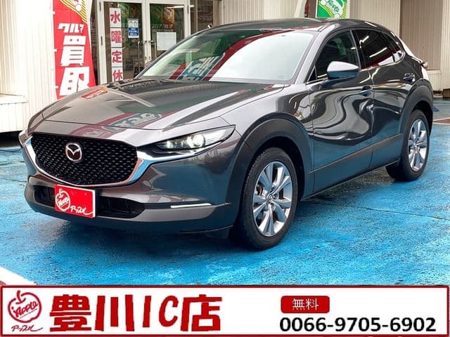 Car image 1