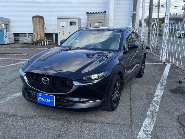 Car image 1