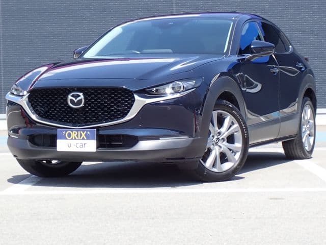 Car image 1