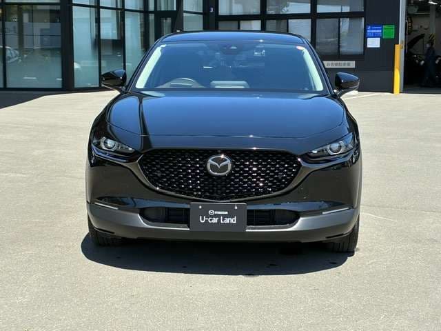 Car thumbnail 2