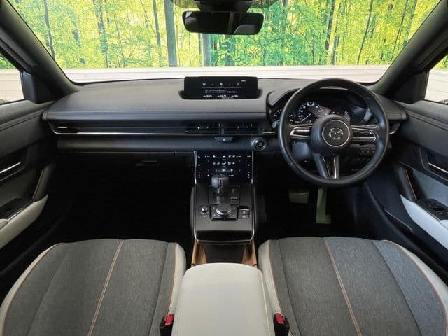 Car thumbnail 2