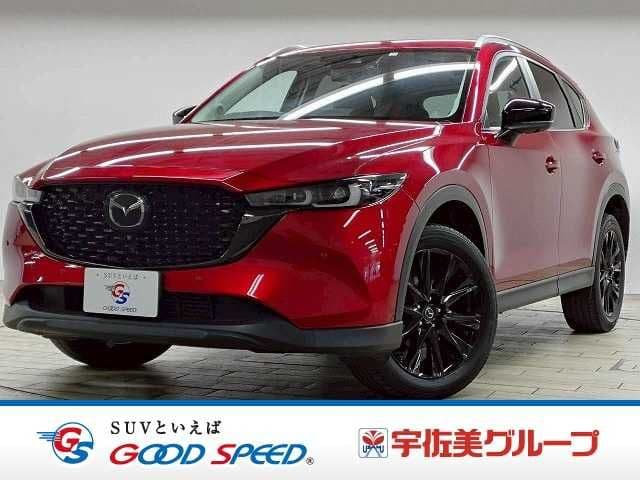 Car image 1