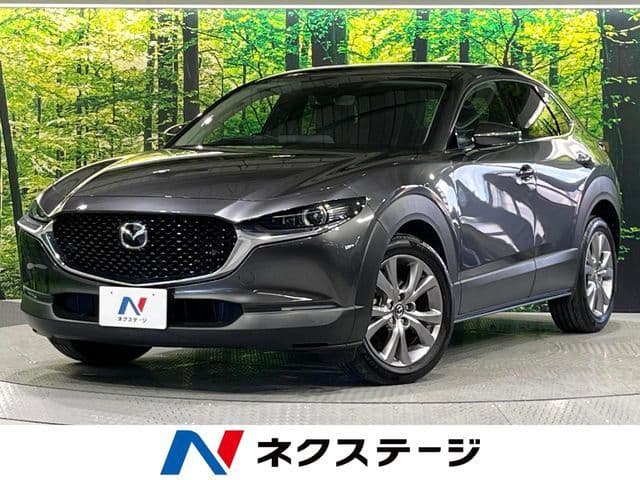 Car image 1