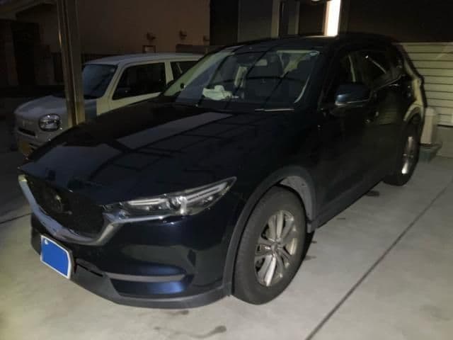Car thumbnail 2