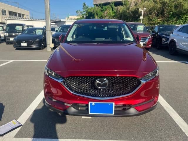 Car image 1