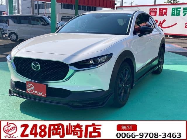 Car image 1