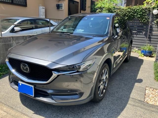 Car image 1