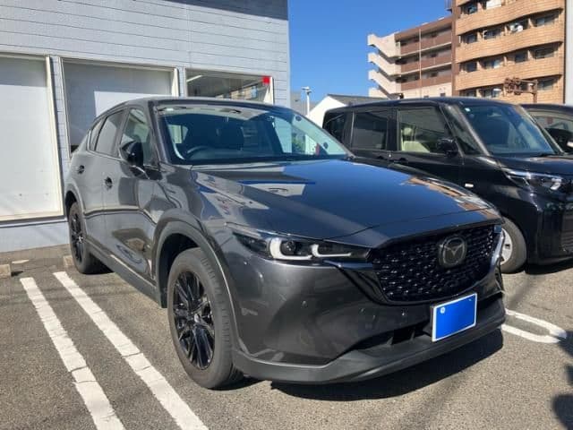 Car image 1