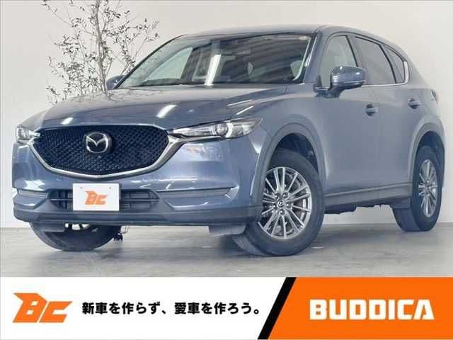 Car image 1