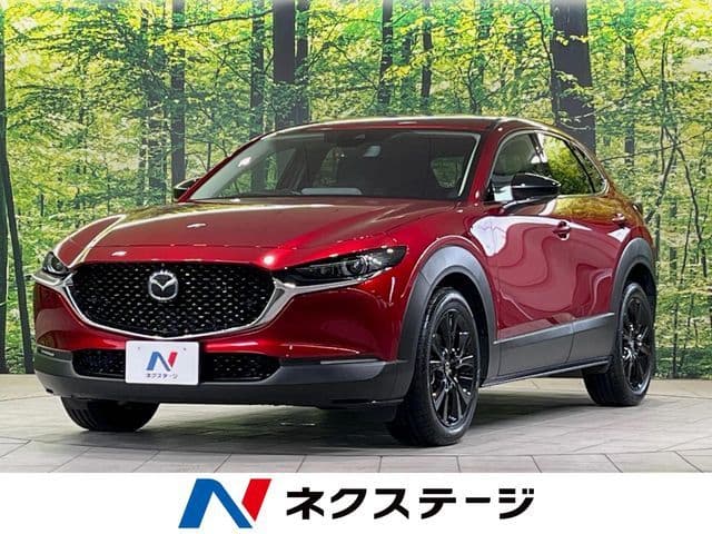 Car image 1
