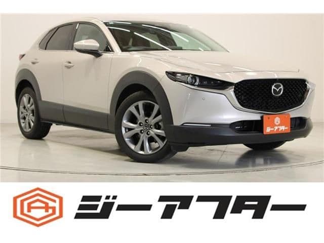 Car image 1