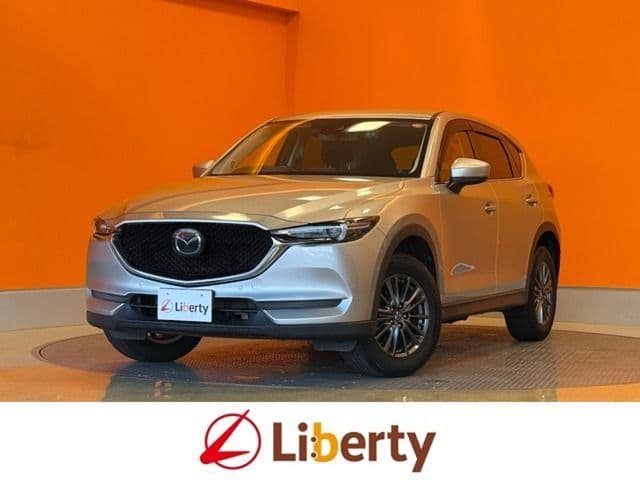 Car image 1