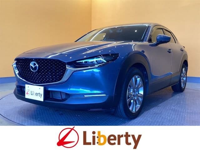 Car image 1