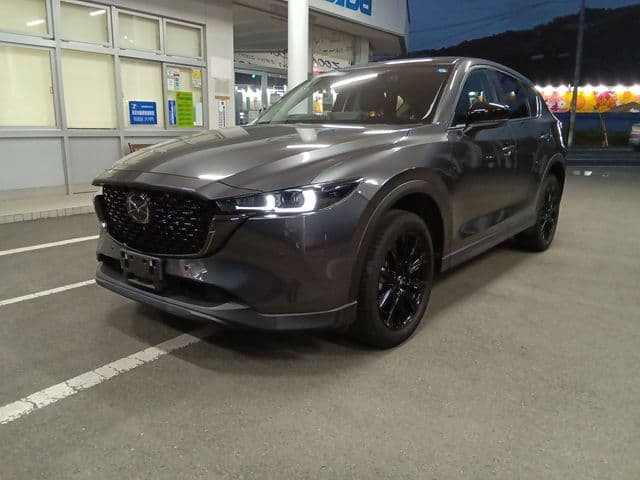 Car image 1