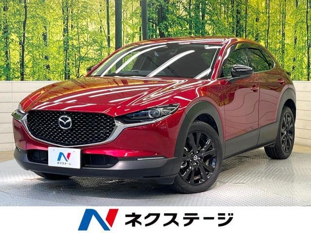 Car image 1