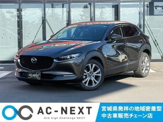 Car image 1