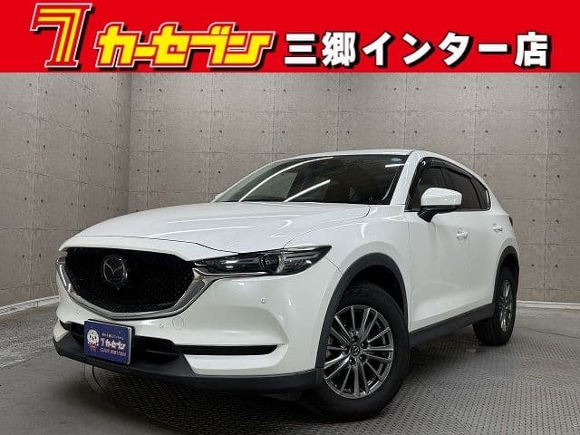 Car image 1