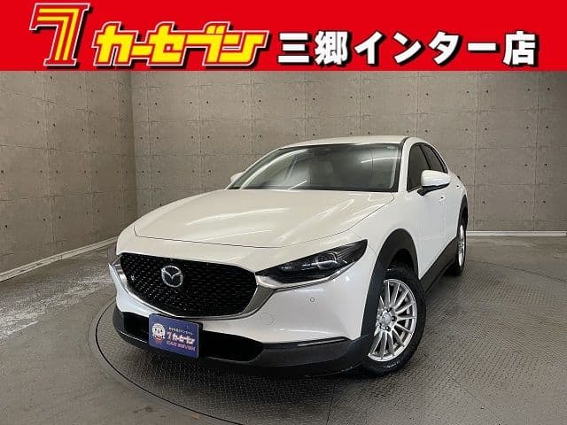 Car image 1