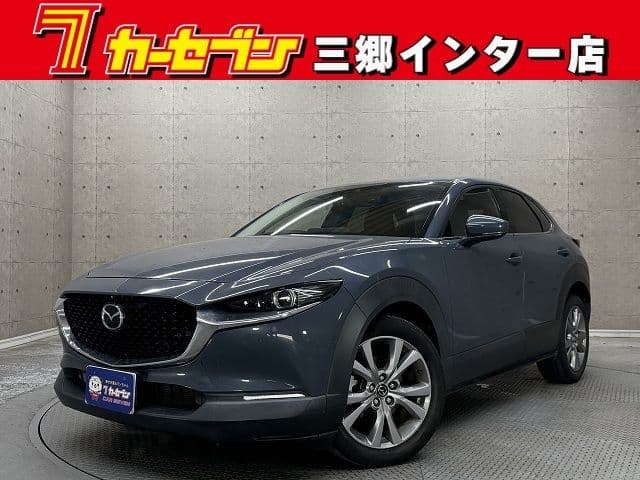 Car image 1