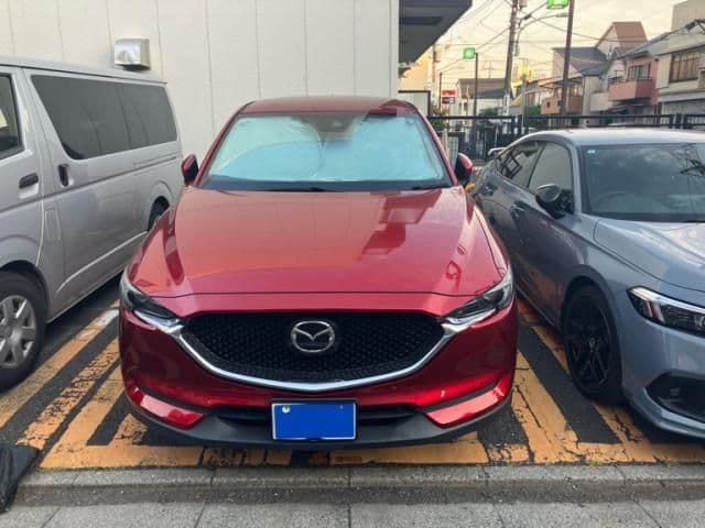 Car image 1